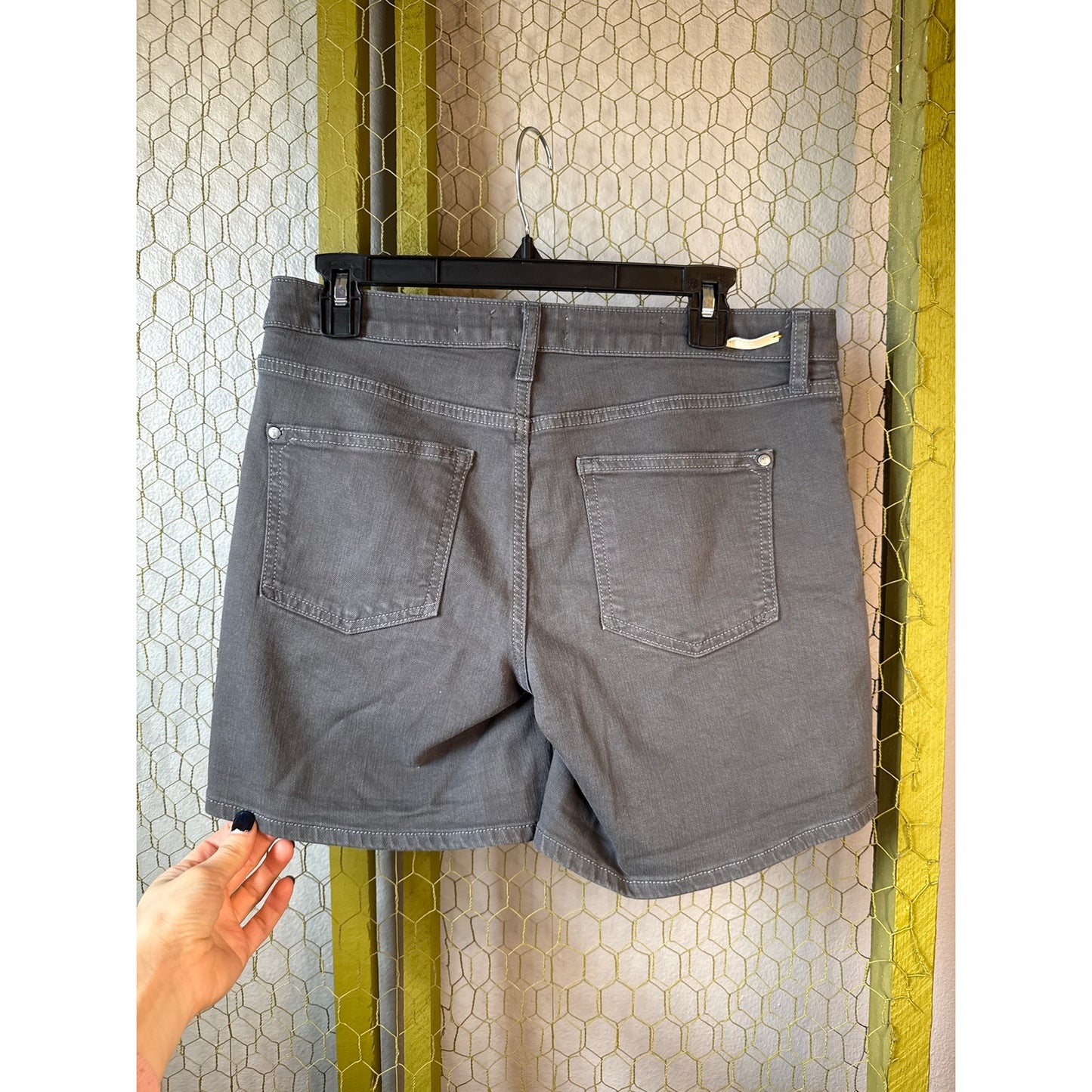 Gray Pilcrow in the Letter Press Anthropologie Shorts Size 26 Stretchy Cotton