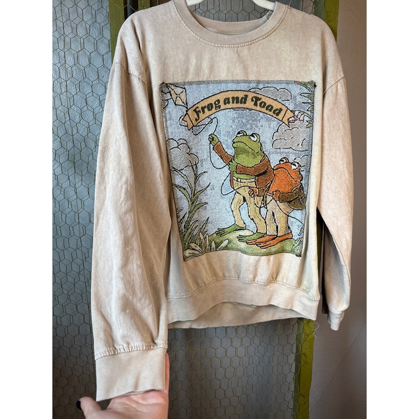 Frog and Toad Medium Crewneck Long Sleeve Teacher Nature Bookworm